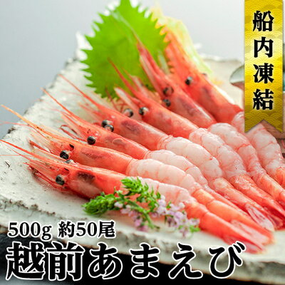 【ふるさと納税】甘えび 子なし 500g 約50尾 越前甘えび えび 海老 刺身 冷凍 魚介 魚介類 海鮮 高評価　甘海老 あまえび エビ