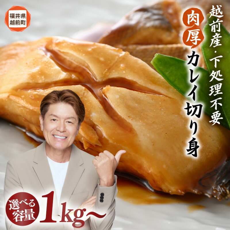 【ふるさと納税】 《12/25寄附決済完了まで年内発送》煮付 煮魚 越前産 カレイ 切り身 【 容量 1kg 〜】 バラ凍結 使い勝手抜群！福井県網元漁師が厳選！肉厚な越前産 カレイ（無塩）【定期便 煮つけ用 かれい 鰈 焼き魚 煮付け バラ凍結便利 取り寄せ グルメ 送料無料 aj】