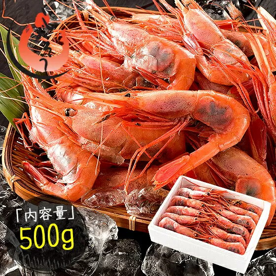 【ふるさと納税】数量限定 甘えび・子持ちE大サイズ約500g(約30尾) 福井県敦賀産【送料無料】【しおそう 塩荘 あまえび アマエビ 甘エビ 刺身 生 生食 冷凍 500g 10000円 お中元 お歳暮 ギフト 贈り物 プレゼント】