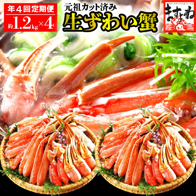 【ふるさと納税】定期便 ≪年4回お届け≫ 大人気商品 元祖カット済生ずわい蟹 【約1.2kg】ますよね商店【ますよね 海鮮 ずわい蟹 ずわいガニ ズワイガニ 蟹 カニ カニしゃぶ 魚介類 先行予約】