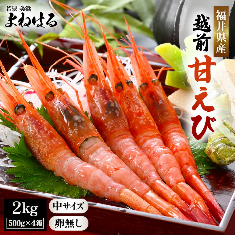 【ふるさと納税】天然 越前甘えび (卵なし) 中サイズ計2kg (500g × 4箱) (合計約140尾入り) 解凍方法説明書付き 酸化防止剤不使用！【えび エビ 海老 甘エビ 甘えび 海鮮 お刺身 魚介 無添加 冷凍 福井県産】