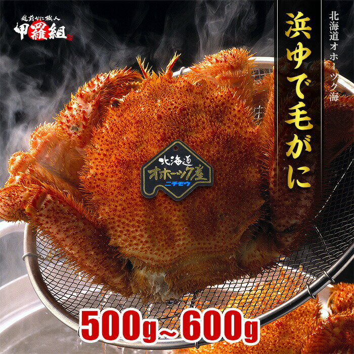毛蟹 500g ~ 600g 姿 ボイル 冷凍 毛ガニ けがに 毛がに 冷凍食品 送料無料 お取り寄せ 蟹 かに カニ 毛かに 毛カニ 年末 年始 お正月 正月 贈答 贈り物 ギフト 北海道 お歳暮