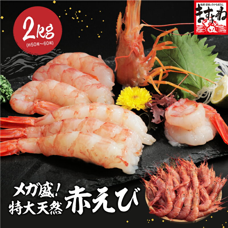 メガ盛 ★特大天然赤えび たっぷり2kg 約50〜60尾入り (大型サイズ) 赤海老 赤エビ お刺身 焼き 手巻き寿司 海鮮丼 寿司 天ぷら フライ エビ えび 海老 送料無料 お中元 差し入れ おつまみ ギフト