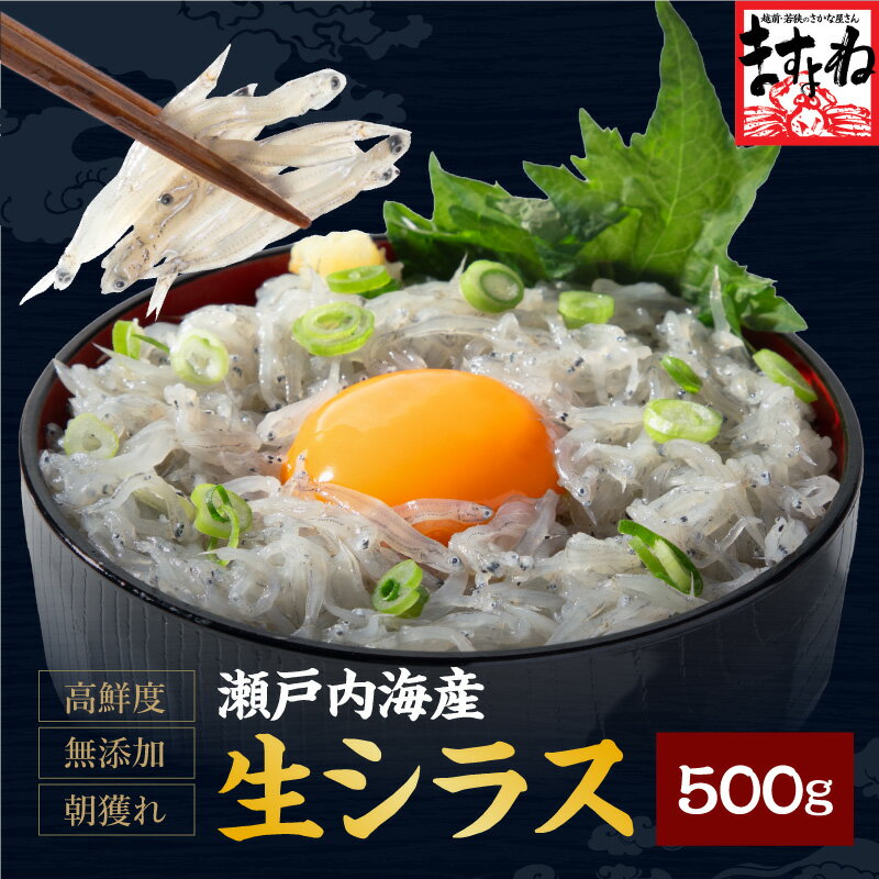 瀬戸内海産 生しらす 500g (100g×5パック)│ シラス しらす 生シラス 瀬戸内海 釜揚げ 無添加 無着色 ギフト プレゼント 海鮮 ますよね