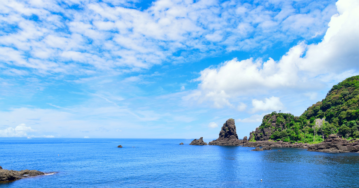 福井の海鮮市場について