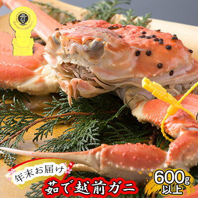 【ふるさと納税】かに 年末配送 茹で 越前がに 約600g以上 1杯 ずわい蟹 ボイルカニ ボイル 魚介類　越前ガニ 越前かに 蟹 カニ ポーション ボイル蟹 ズワイガニ　お届け：2026年12月28日～30日