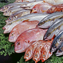 セット・詰め合わせ